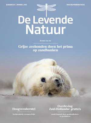 Cover 1 2026