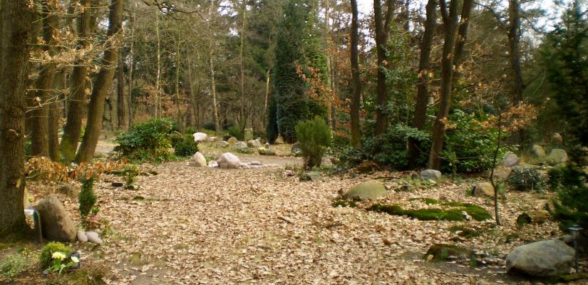 Een natuurbegraafplaats bij Assel