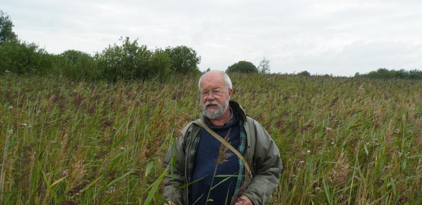 Jan Meijer verzamelt insectenvallen in riet