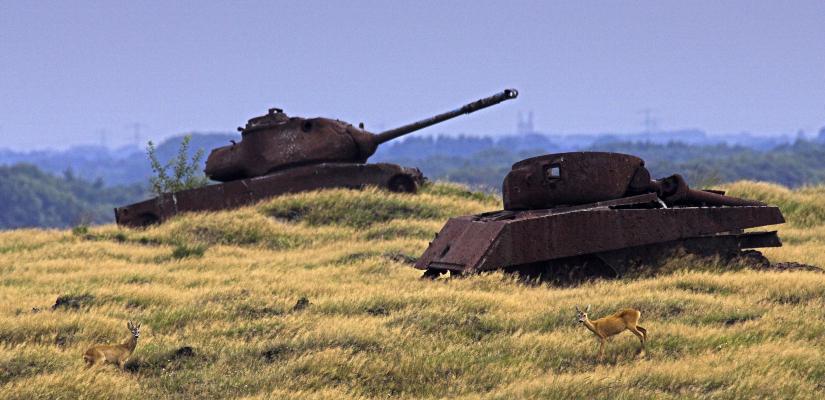 Foto Artillerie Schietkamp Oldenbroek