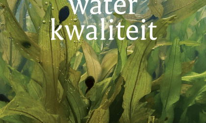 Water planten en water kwaliteit